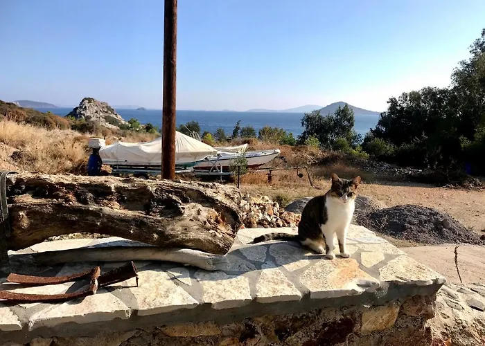 別荘 Chris House Sapsila