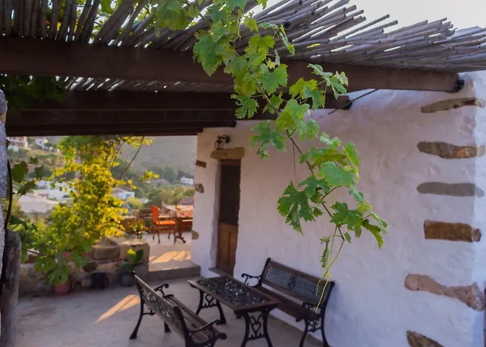 Chris House * Sapsila