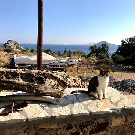 בית נופש Chris House Sapsila