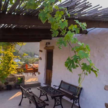 Chris House * Sapsila